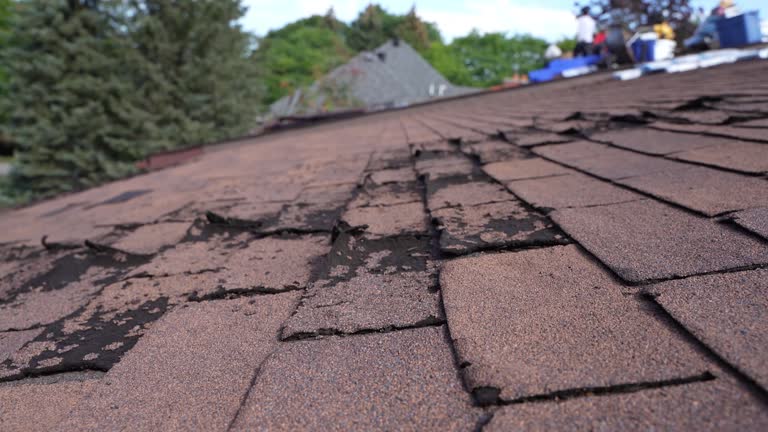4 Ply Roofing in Poydras, LA